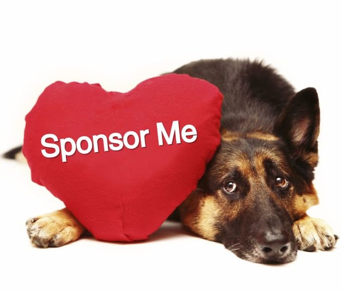 Sponsor a Pet